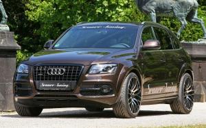 Audi Q5 by Senner Tuning 2011 года